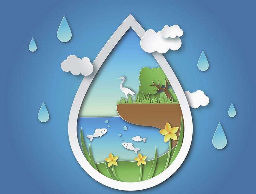 實(shí)踐綠色物流環(huán)保理念 菜鳥投產(chǎn)新型可循環(huán)包裝箱