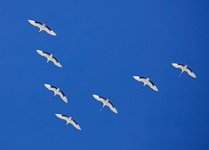 綜合物流,綜合物流服務(wù)